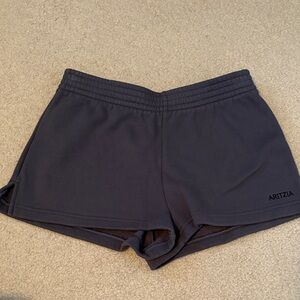 Aritzia Cozy Sweatfleece Perfect Micro Short